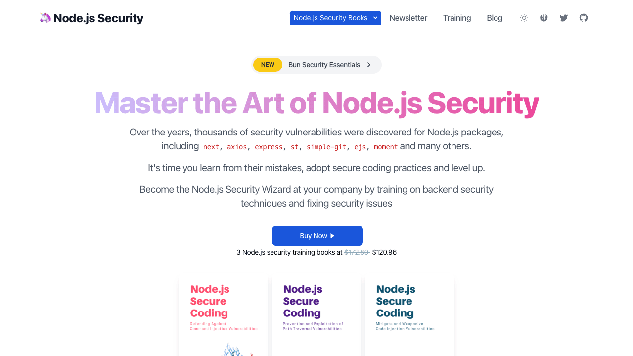 Screenshot of Node.js Security